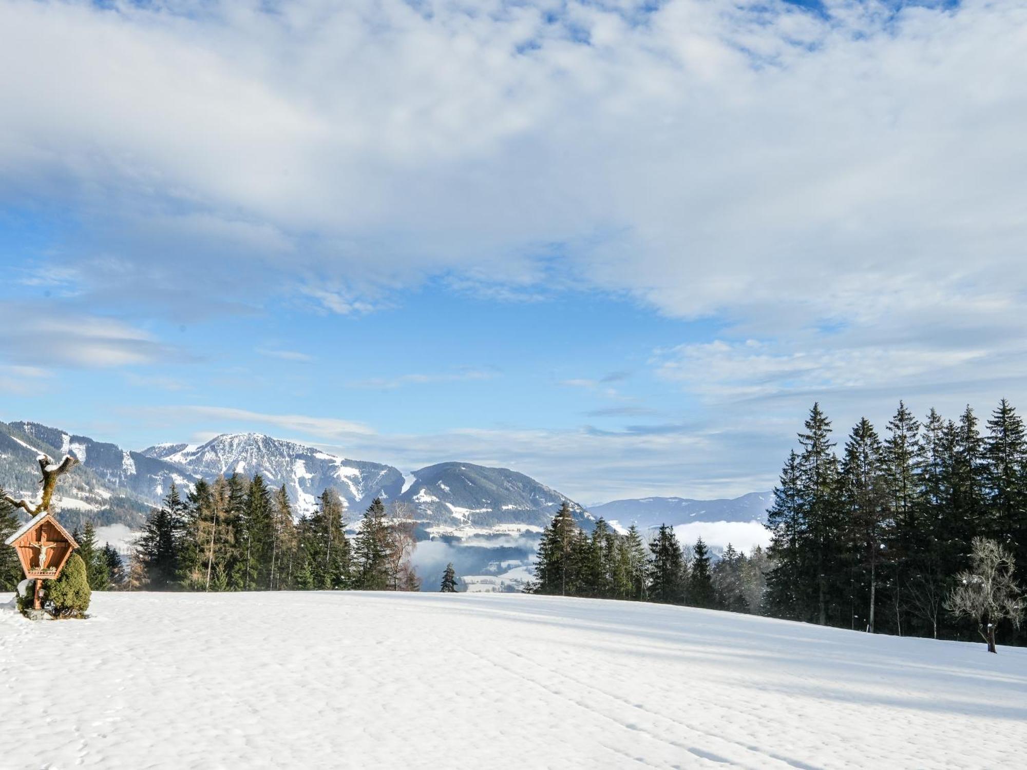 Mountain Residence Riesgut Верфен Екстериор снимка